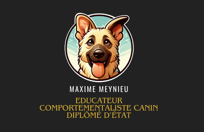 Maxime Meynieu