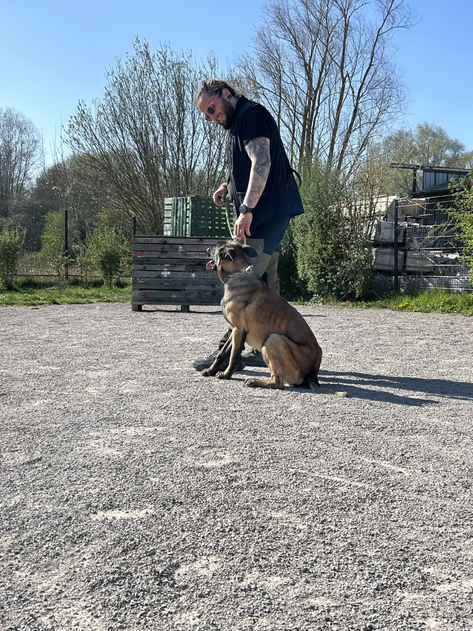 Malinois refuge