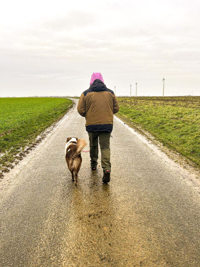 marche en laisse